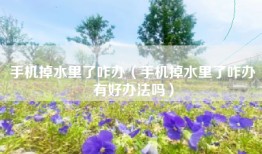 手机掉水里了咋办（手机掉水里了咋办有好办法吗）