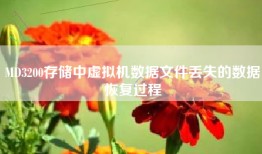 MD3200存储中虚拟机数据文件丢失的数据恢复过程