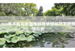 2024年手机充电器市场竞争格局及发展前景分析