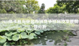 2024年手机充电器市场竞争格局及发展前景分析