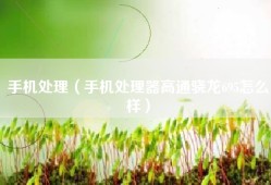 手机处理（手机处理器高通骁龙695怎么样）