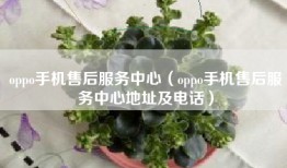 oppo手机售后服务中心（oppo手机售后服务中心地址及电话）