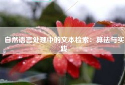 自然语言处理中的文本检索：算法与实践