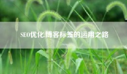 SEO优化,博客标签的运用之路