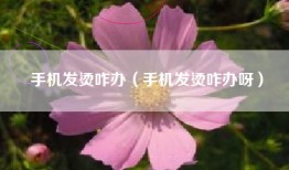 手机发烫咋办（手机发烫咋办呀）