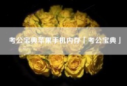 考公宝典苹果手机内存「考公宝典」