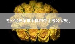 考公宝典苹果手机内存「考公宝典」