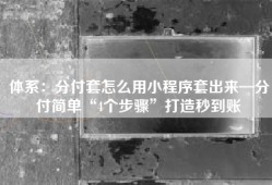 体系：分付套怎么用小程序套出来—分付简单“4个步骤”打造秒到账