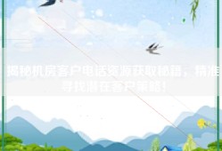 揭秘机房客户电话资源获取秘籍，精准寻找潜在客户策略！