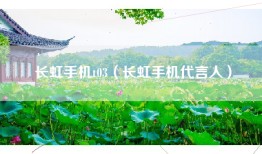 长虹手机t03（长虹手机代言人）