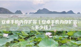 安卓手机内存扩容（安卓手机内存扩容512g多少钱）