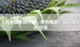 6 月数据库排行榜：排名稳定，Microsoft SQL 小涨