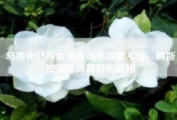 马斯克怒斥加州电动车政策不公，特斯拉被排除背后的真相