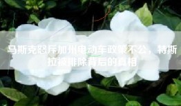 马斯克怒斥加州电动车政策不公，特斯拉被排除背后的真相