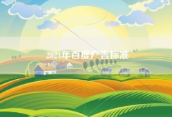 2024年百度广告标准