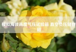 模拟海拔高度气压试验箱 真空负压储存箱