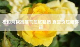 模拟海拔高度气压试验箱 真空负压储存箱