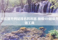 轻松提升网站排名的利器-蜘蛛SEO超级外链工具