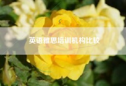 英语雅思培训机构比较