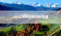 XXX公司网络规划和部署