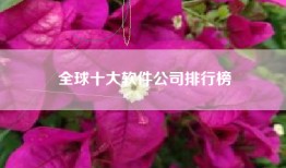 全球十大软件公司排行榜