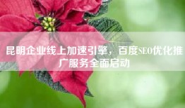 昆明企业线上加速引擎，百度SEO优化推广服务全面启动