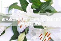 南京百度网络推广怎么样啊？全面剖析其优势与挑战