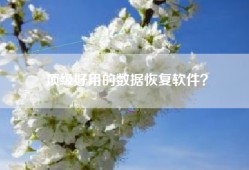 顶级好用的数据恢复软件？
