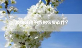 顶级好用的数据恢复软件？