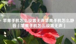 苹果手机怎么设置无声苹果手机怎么静音「苹果手机怎么设置无声」
