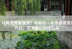 马斯克成砸盘侠？特斯拉一年市值蒸发5万亿，沦为最烂科技巨头