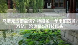 马斯克成砸盘侠？特斯拉一年市值蒸发5万亿，沦为最烂科技巨头