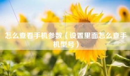 怎么查看手机参数（设置里面怎么查手机型号）