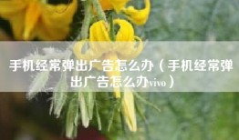 手机经常弹出广告怎么办（手机经常弹出广告怎么办vivo）