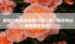 揭秘百度高流量网站排行榜，哪些网站领跑搜索领域？