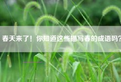 春天来了！你知道这些描写春的成语吗？