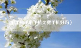 窄手机（窄手机比宽手机好吗）