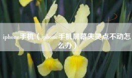 iphone手机（iphone手机屏幕失灵点不动怎么办）