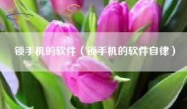 锁手机的软件（锁手机的软件自律）