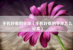 手机好看的字体（手机好看的字体怎么设置）