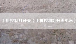手机控制灯开关（手机控制灯开关小米）
