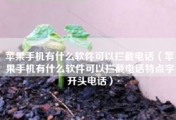 苹果手机有什么软件可以拦截电话（苹果手机有什么软件可以拦截电话特点字开头电话）