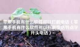 苹果手机有什么软件可以拦截电话（苹果手机有什么软件可以拦截电话特点字开头电话）