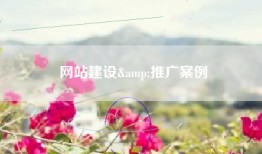 网站建设&推广案例