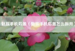 魅族手机后盖（魅族手机后盖怎么拆开）