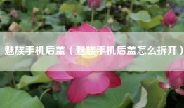 魅族手机后盖（魅族手机后盖怎么拆开）
