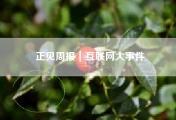 正见周报｜互联网大事件