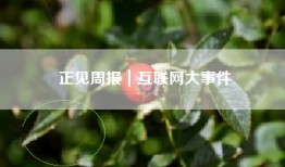正见周报｜互联网大事件
