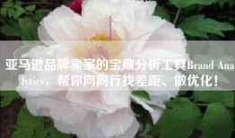 亚马逊品牌卖家的宝藏分析工具Brand Analytics，帮你向同行找差距、做优化！
