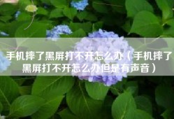 手机摔了黑屏打不开怎么办（手机摔了黑屏打不开怎么办但是有声音）